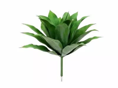 Umělá agáve UV 70 cm – Agave Plug UV Green H70