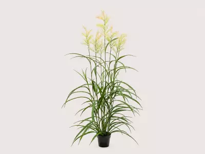 Umělá okrasná tráva UV 150 cm – Pluimgras UV H150 D70