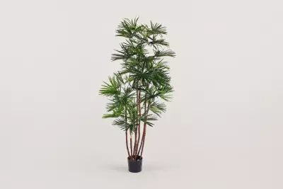 Umělá palma Baby Leaf UV 160 cm – realistická palma pro interiér i exteriér
