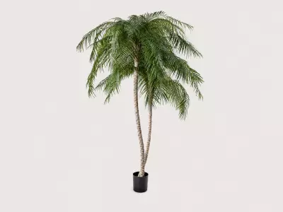Umělá palma Phoenix UV 225 cm – Phoenix Palm Tree UV Green H225 D150