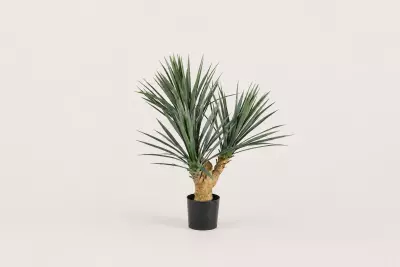 Umělá Yucca Rostrata UV 70 cm – realistická bezúdržbová rostlina pro interiér i exteriér