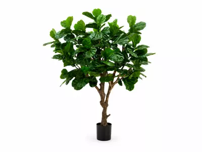 Umělý fíkovník Ficus Lyrata Deluxe 260 cm – Ficus Lyrata Deluxe Green H260 D200