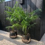 Umělá rostlina Areca palm UV Green 175 cm