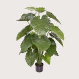 Umělá rostlina Alocasia Calidora Green 115 cm