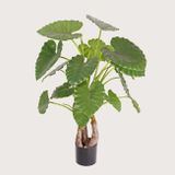 Umělá rostlina Alocasia Calidora Green 120 cm