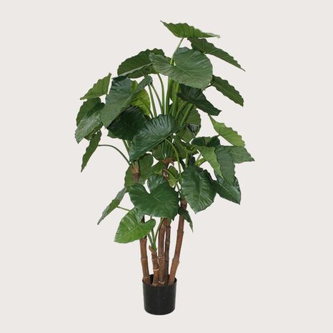 Umělá rostlina Alocasia Calidora Green 165 cm