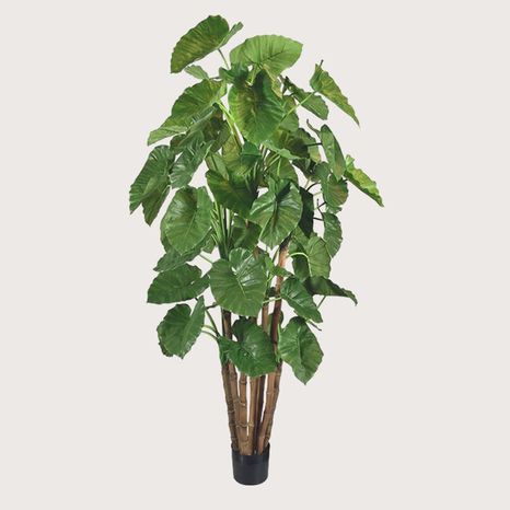 Umělá rostlina Alocasia Calidora Green 210 cm