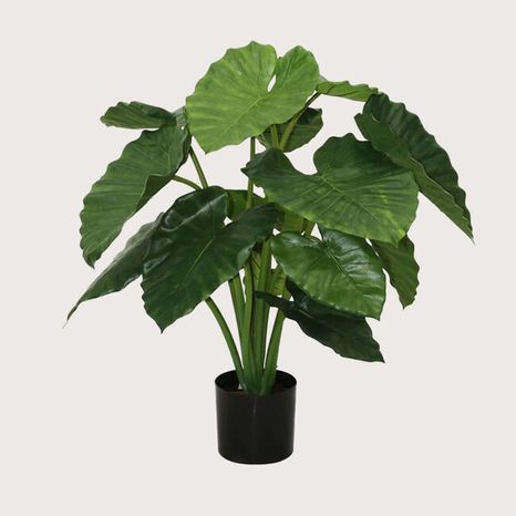 Umělá rostlina Alocasia Calidora Green 80 cm