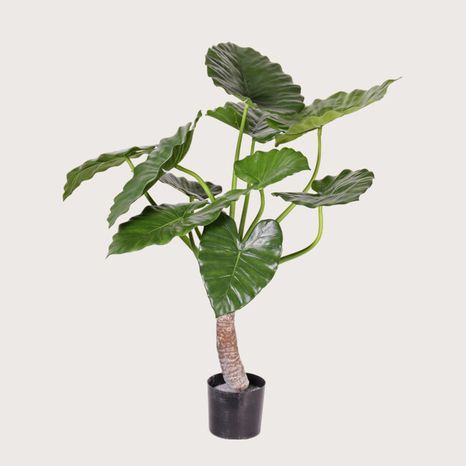 Umělá rostlina Alocasia Calidora Green 80 cm