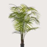 Umělá rostlina Areca palm UV Green 175 cm