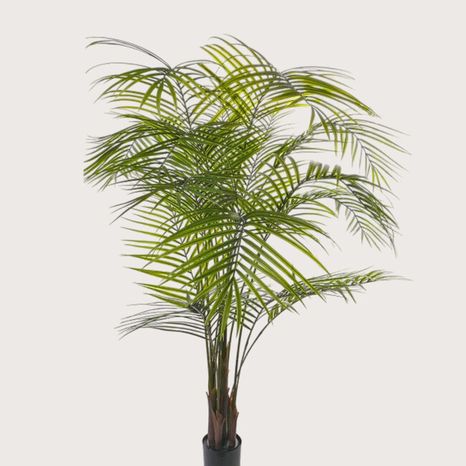 Umělá rostlina Areca palm UV Green 175 cm